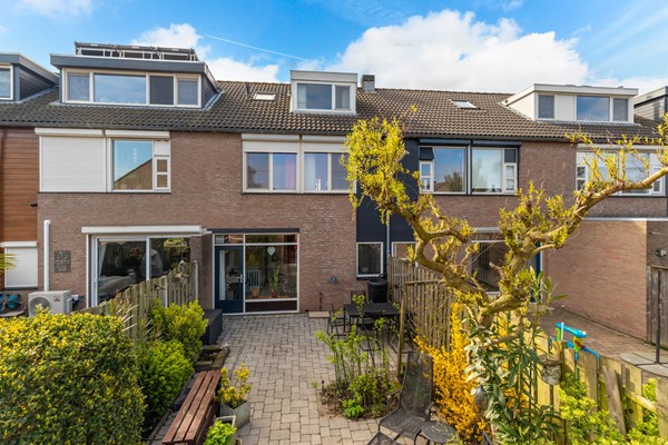 Albert Schweitzererf 6_25.jpg